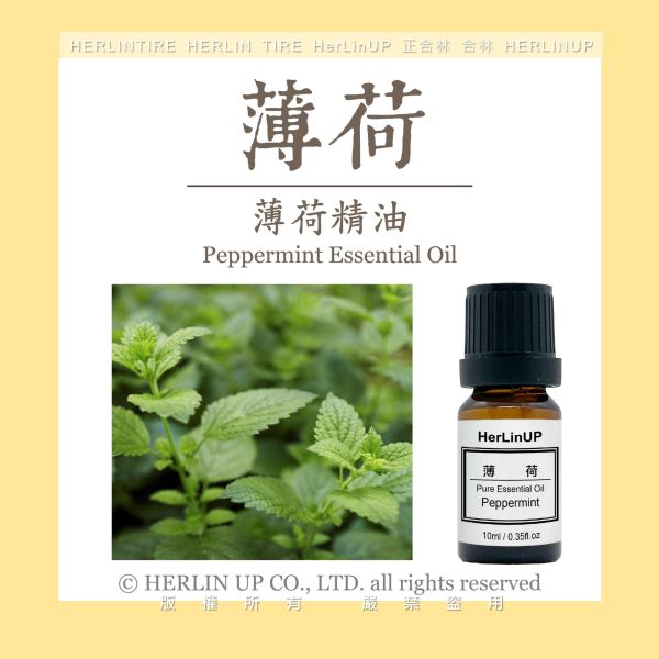 薄荷精油 10ml 薄荷 精油 Mint HerLinUP 薄荷精油 10ml 薄荷 精油 Mint HerLinUP