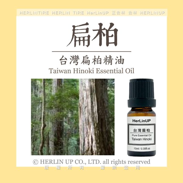 檜木精油 10ml 台灣扁柏黃檜精油 精油 Hinoki Cypress HerLinUP 檜木精油 10ml 台灣扁柏黃檜精油 精油 Hinoki Cypress HerLinUP