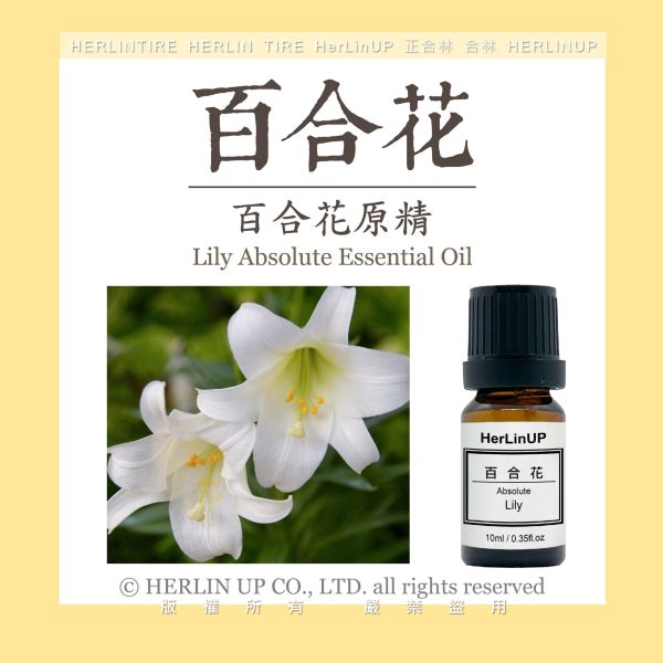 百合花原精 10ml 百合花 原精 Lily HerLinUP 百合花原精 10ml 百合花 原精 Lily HerLinUP