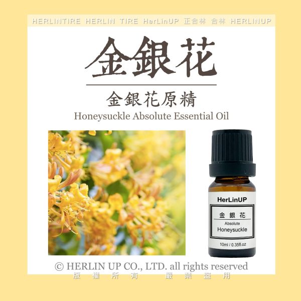 金銀花原精 10ml 金銀花 原精 Honeysuckle HerLinUP 金銀花原精 10ml 金銀花 原精 Honeysuckle HerLinUP