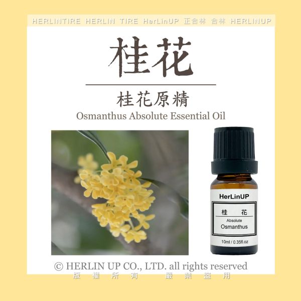 桂花原精 10ml 桂花 原精 Osmanthus fragrans HerLinUP 桂花原精 10ml 桂花 原精 Osmanthus fragrans HerLinUP