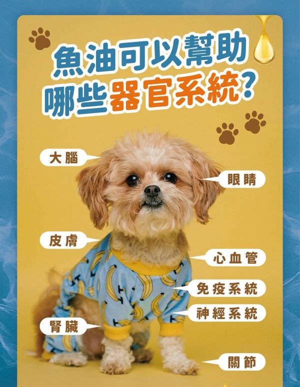愛寶毛孩的每日守護配方系列 