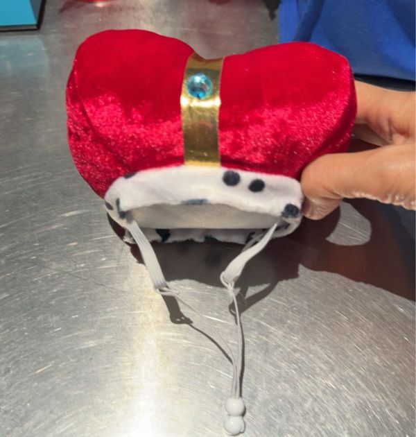 皇家狗狗套裝 Royal Crown & Cap #Royal&Crown #王冠 #狗狗皇家套裝 #萬聖節 #狗狗萬聖節 #PetLondon