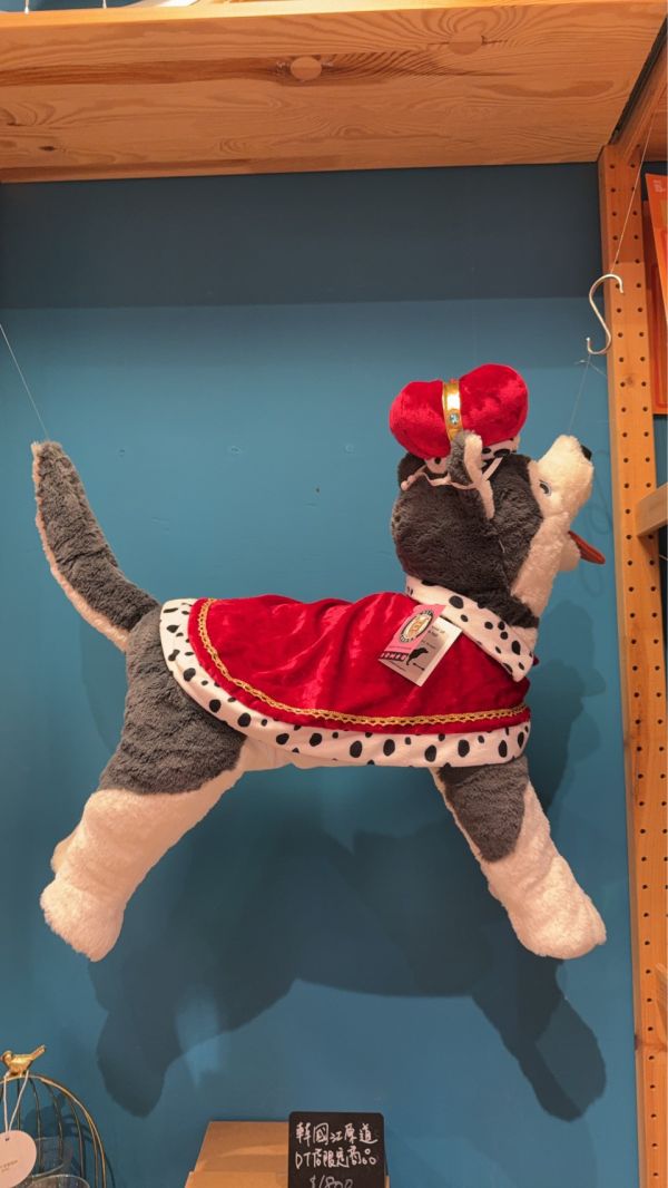 皇家狗狗套裝 Royal Crown & Cap #Royal&Crown #王冠 #狗狗皇家套裝 #萬聖節 #狗狗萬聖節 #PetLondon