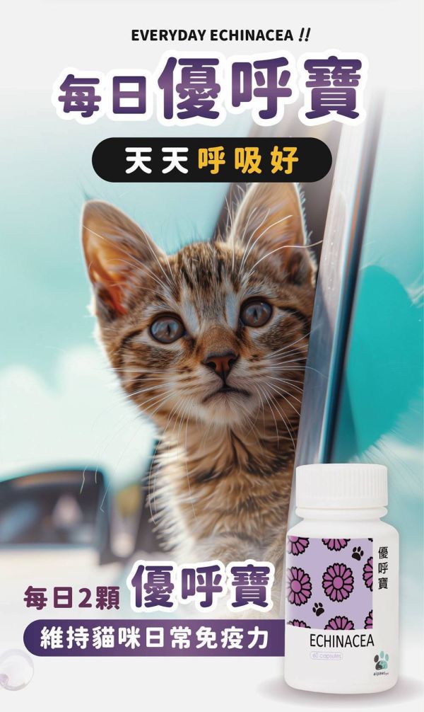 愛寶毛孩的每日守護配方系列 