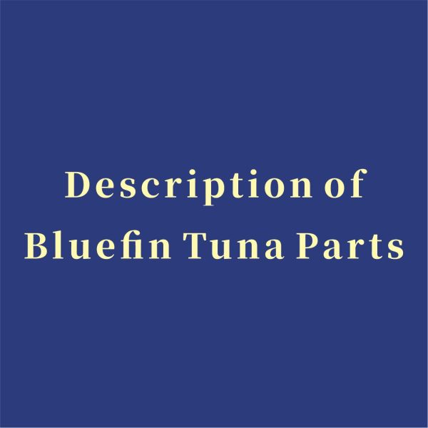 Description of Bluefin Tuna Parts 