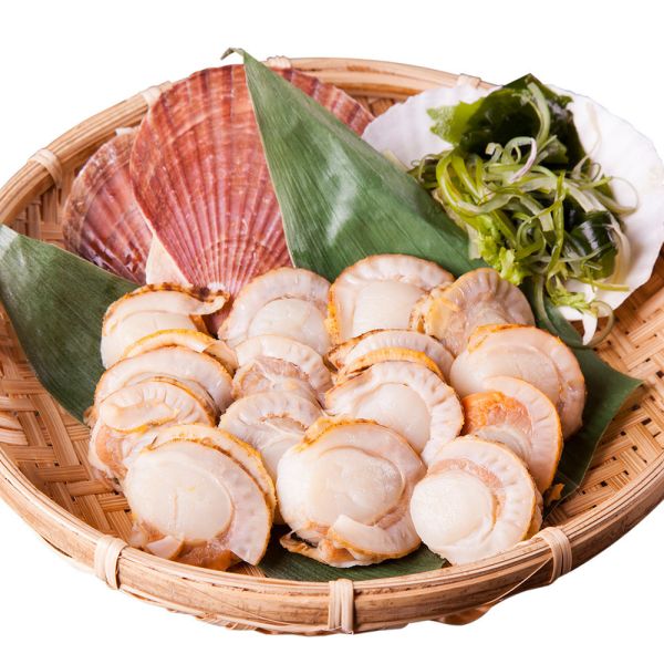 Yeeso Scallop 