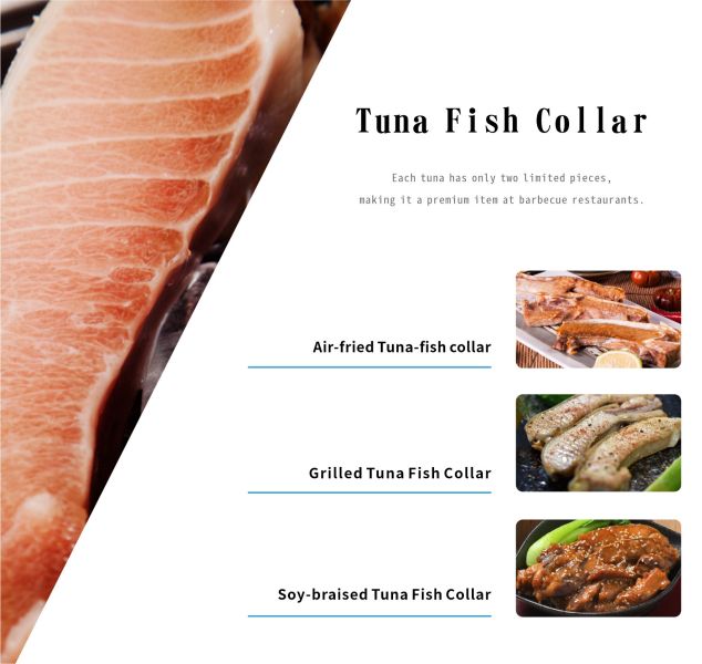 Tuna Fish Collar 