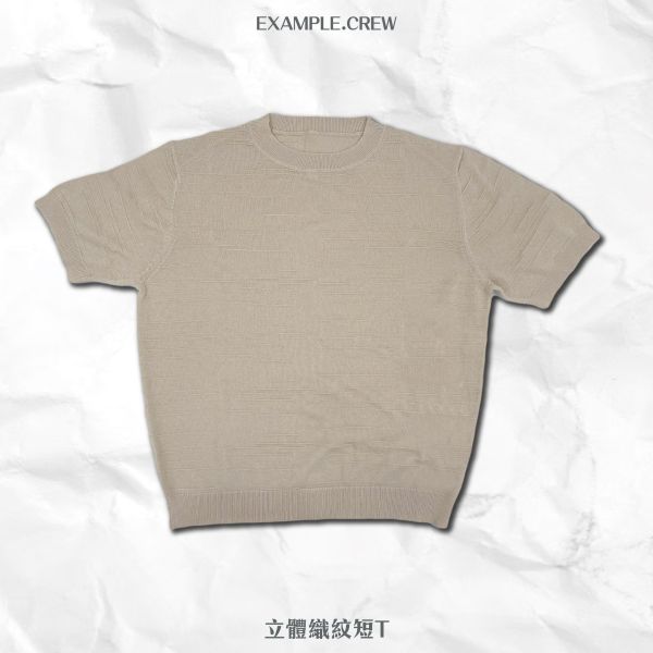 【EX】立體織紋短T 