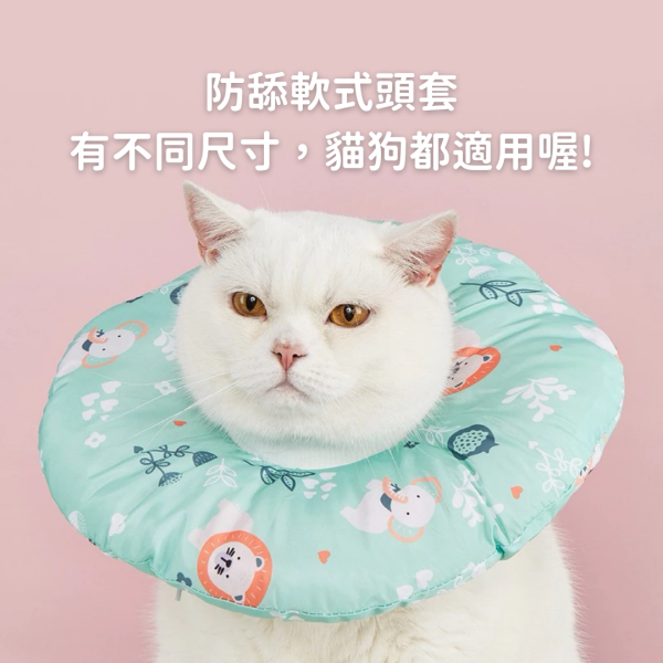 /出清優惠/《350元公益福袋》可愛寵物防舔保護頭套 貓插圖,貓咪,貓掌,肉球,日系,便條紙,上班,療癒,職場,便利貼