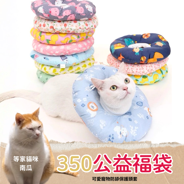 /出清優惠/《350元公益福袋》可愛寵物防舔保護頭套 貓插圖,貓咪,貓掌,肉球,日系,便條紙,上班,療癒,職場,便利貼