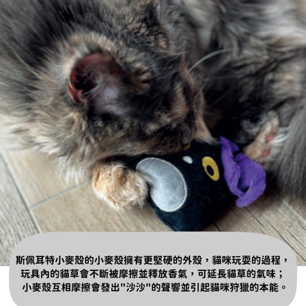 /新款到！/《500元公益福袋》threads爆紅玩具~貓咪纈草紓壓玩具_Aumüller奧咪樂德國製造 貓咪,紓壓,玩具,Aumüller,奧咪樂,德國製造,纈草,貓草,貓薄荷,小麥殼,天然植物