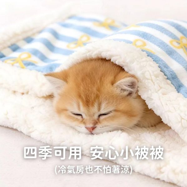 《699元公益福袋》四季可用寵物安心小被被 法蘭絨毯睡墊X2  +贈逗貓棒 貓插圖,貓咪,貓掌,四季,寵物,被子,法蘭絨,毛毯,睡墊,逗貓棒