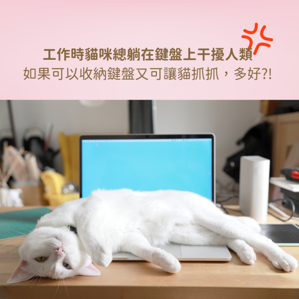 《799元公益福袋》BOXKITTY 新款抓板 / 螢幕第一排 / 跟貓咪一起上班神器 貓咪,插畫,貓插畫,玻璃,馬戲團,魔術,水杯,馬克杯,量杯,保鮮盒,啤酒,飲料,甜點,野餐,
