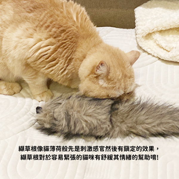 /新款到！/《500元公益福袋》貓咪紓壓玩具_Aumüller 奧咪樂 德國製造 貓咪,紓壓,玩具,Aumüller,奧咪樂,德國製造,纈草,貓草,貓薄荷,小麥殼,天然植物