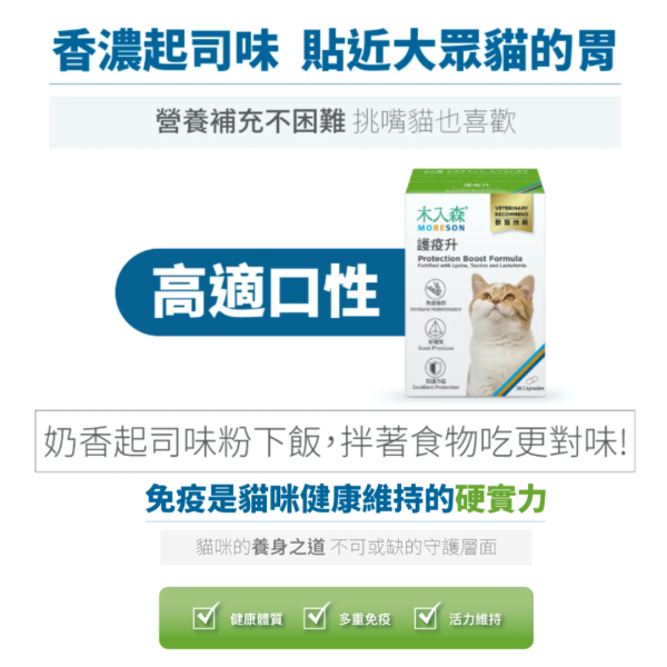 《1500元公益福袋》木入森超值組(活菌寶30包+護疫升60顆) +長湯匙x2+贈防潮飼料勺 逗貓棒,保健品,營養品,不求人,木入森,魚油,排毛,免疫力,益生菌,活菌寶,離胺酸,護疫升,換季,貓掌,湯匙,防潮,飼料