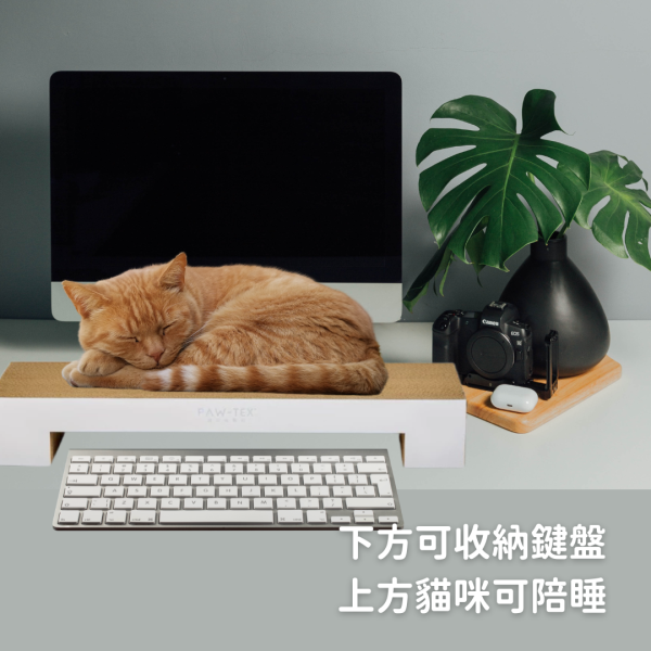 《799元公益福袋》BOXKITTY 新款抓板 / 螢幕第一排 / 跟貓咪一起上班神器 貓咪,插畫,貓插畫,玻璃,馬戲團,魔術,水杯,馬克杯,量杯,保鮮盒,啤酒,飲料,甜點,野餐,