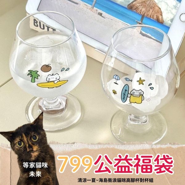 《799元公益福袋》清涼一夏~海島衝浪貓咪高腳杯對杯組(兩款圖案各一) 貓咪,插畫,貓插畫,可愛,日本,啤酒杯,玻璃杯,馬克杯,黑貓,水杯,夏天,衝浪