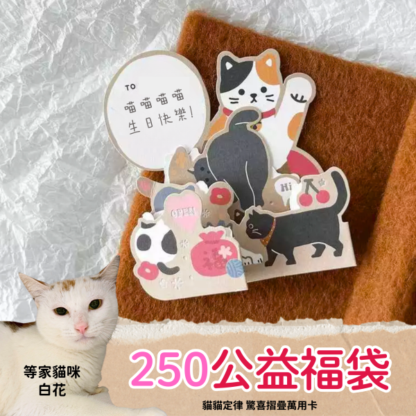 <各種祝福貓咪都在>貓貓定律 驚喜摺疊萬用卡 貓咪,貓,公益,福袋,盲盒,蠟燭,生日快樂,貓奴,貓主子,卡片