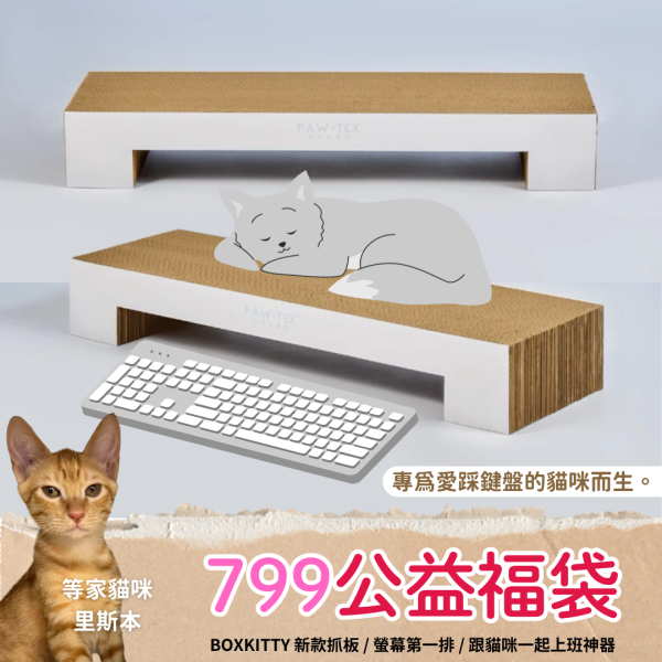 《799元公益福袋》BOXKITTY 新款抓板 / 螢幕第一排 / 跟貓咪一起上班神器 貓咪,插畫,貓插畫,玻璃,馬戲團,魔術,水杯,馬克杯,量杯,保鮮盒,啤酒,飲料,甜點,野餐,