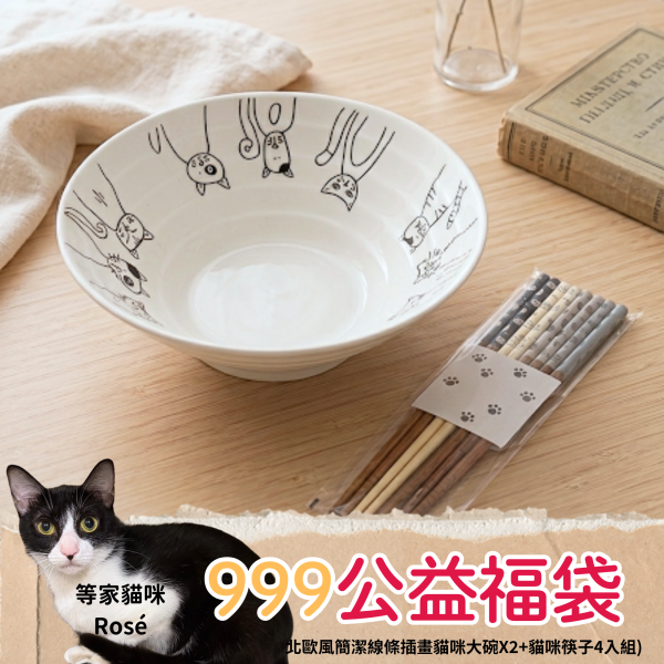 《999元公益福袋》北歐風簡潔線條插畫貓咪大碗X2+貓咪筷子4入組(日本製) 貓咪插畫,貓頭,貓咪,貓,北歐,線條,插畫,碗,筷子,日本製,泡麵,碗公