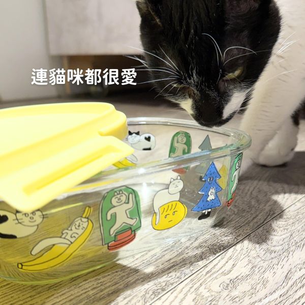 《500元公益福袋》上班族最愛~微波爐加熱專用耐熱分格帶蓋保鮮盒 貓插圖,貓咪,貓掌,可愛,插畫,上班族,微波,加熱,耐熱,食品級,密封,防漏,帶蓋,保鮮盒