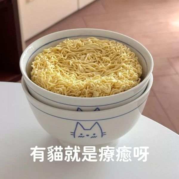 《699元公益福袋》裝點貓生活~日式簡約風藍色線條小貓碗盤組 貓插圖,貓咪,貓掌,貓生活,日式,藍色,線條,小貓,碗盤