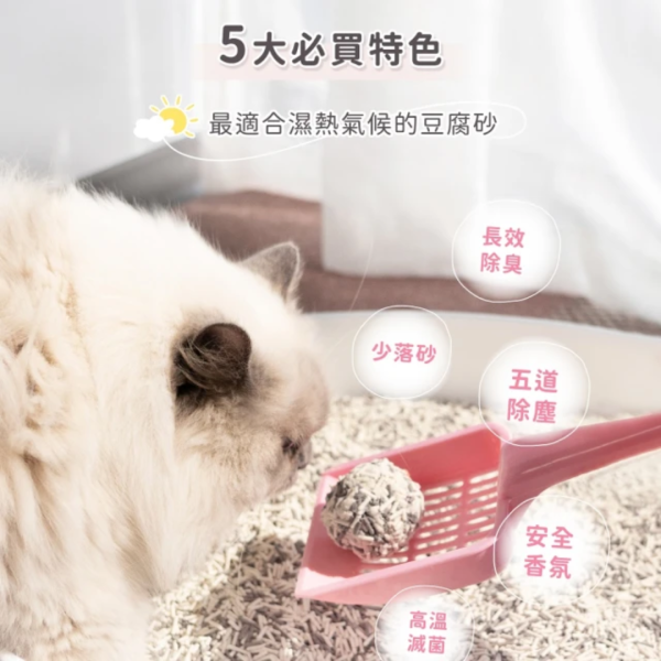 《699元公益福袋》超凝小姐 益生菌除臭豆腐砂2.7kg【原味/珍珠奶茶】三入+贈逗貓棒 貓插圖,貓咪,貓掌,超凝小姐,益生菌,除臭,豆腐砂,逗貓棒