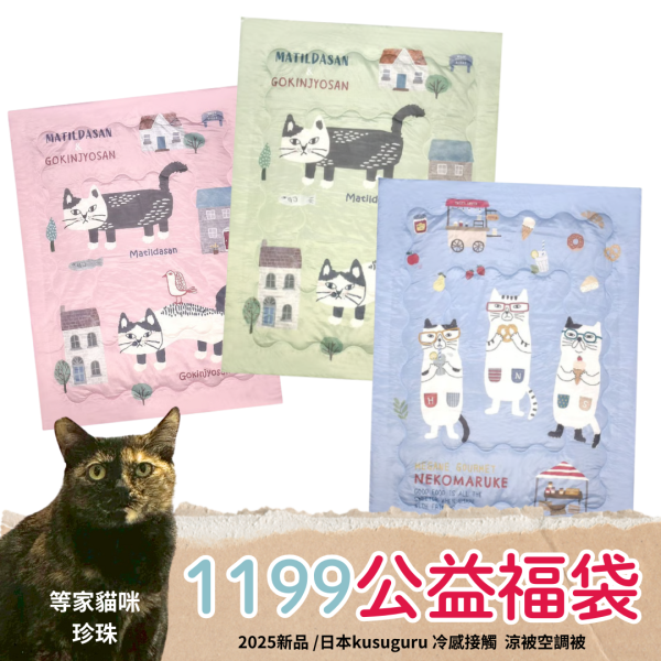 抗暑對策！《1199元公益福袋》2025新品 /日本kusuguru冷感接觸涼被空調被 kusuguru,貓咪,涼被,日本,涼感,空調被,四季毯,