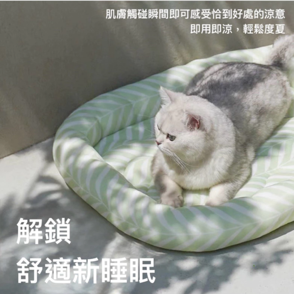 《699元公益福袋》zeze寵物涼墊 夏季降溫涼感貓窩 + 可愛逗貓棒 貓咪,zeze,涼感,睡窩,睡墊,寵物,夏天