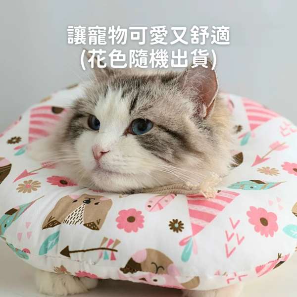 /出清優惠/《350元公益福袋》可愛寵物防舔保護頭套 貓插圖,貓咪,貓掌,肉球,日系,便條紙,上班,療癒,職場,便利貼