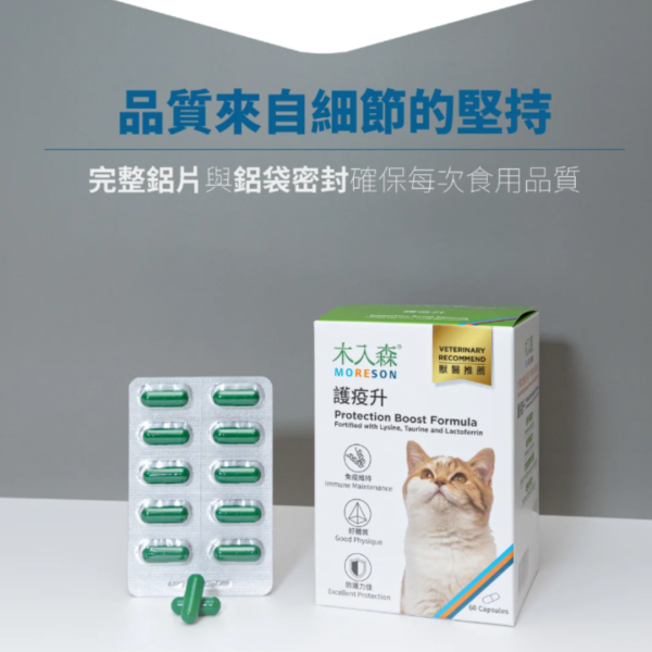 《1500元公益福袋》木入森超值組(活菌寶30包+護疫升60顆) +長湯匙x2+贈防潮飼料勺 逗貓棒,保健品,營養品,不求人,木入森,魚油,排毛,免疫力,益生菌,活菌寶,離胺酸,護疫升,換季,貓掌,湯匙,防潮,飼料