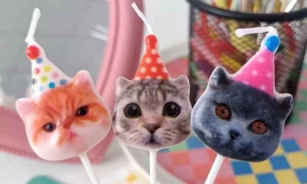<祝你生日快樂>貓咪蠟燭(一盒5入) 貓咪,貓,公益,福袋,盲盒,蠟燭,生日快樂,貓奴,貓主子