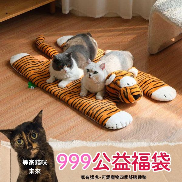 《999元公益福袋》家有猛虎~可愛寵物四季舒適大睡墊地墊+贈 逗貓棒 貓咪,寵物,貓奴,上班族,社畜,放空,傻,坐墊,地毯,老虎