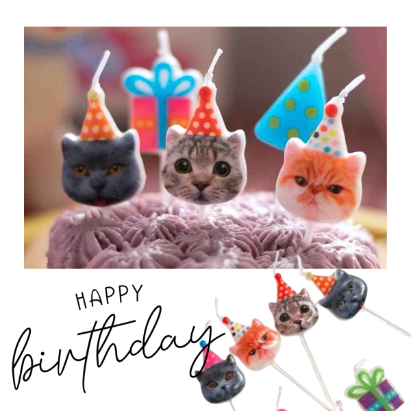 <祝你生日快樂>貓咪蠟燭(一盒5入) 貓咪,貓,公益,福袋,盲盒,蠟燭,生日快樂,貓奴,貓主子