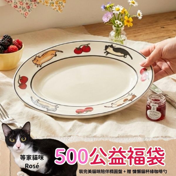 《500元公益福袋》裝完美貓咪陪伴橢圓盤 + 贈 慵懶貓杯緣咖啡勺 貓插圖,貓咪,貓掌,可愛,插畫,上班族,橢圓盤,慵懶,杯緣,咖啡勺