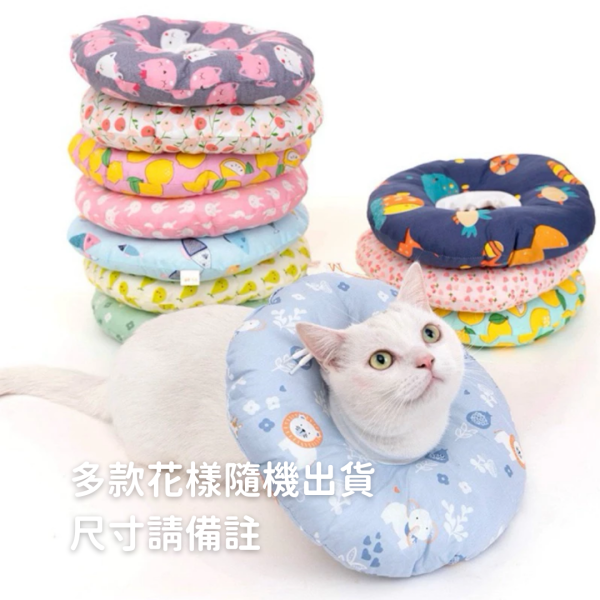 /出清優惠/《350元公益福袋》可愛寵物防舔保護頭套 貓插圖,貓咪,貓掌,肉球,日系,便條紙,上班,療癒,職場,便利貼