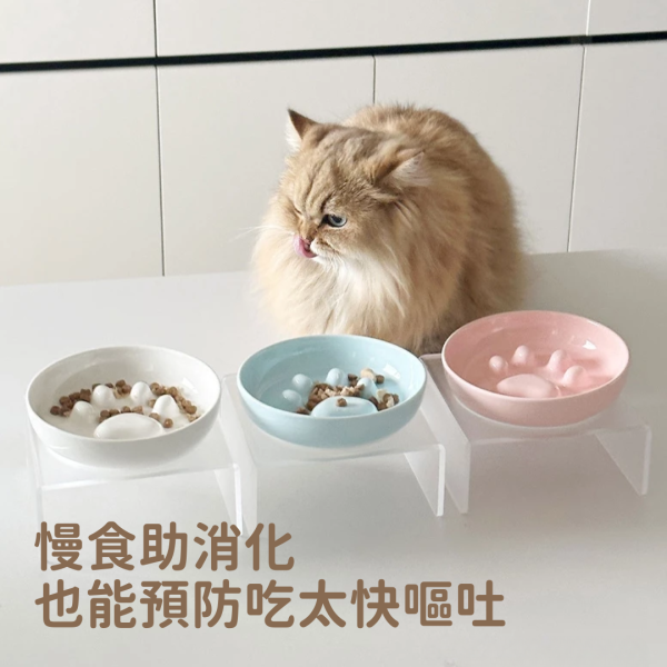 《500元公益福袋》肉球造型寵物慢食碗(不含下方透明高架)  + 貓咪魚兒造型洗碗海綿 貓咪,貓插畫,滑鼠墊