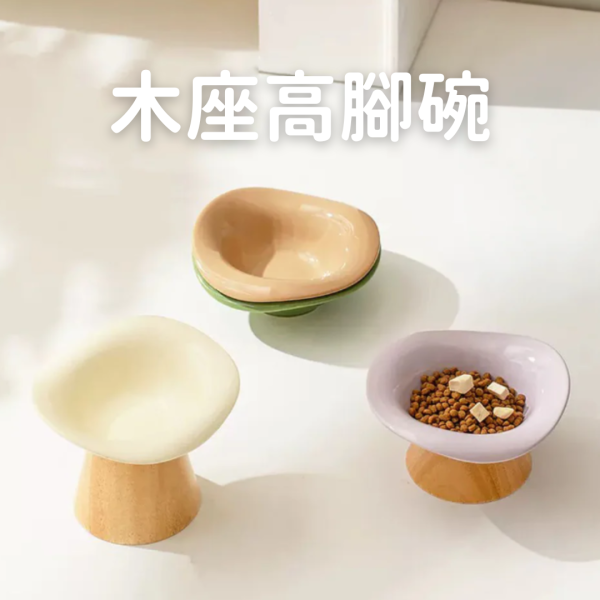 《500元公益福袋》多種可愛餐食水碗任選  + 貓咪梳毛針梳(不選款) 貓咪,碗,喝水,吃飯,冰淇淋,高腳