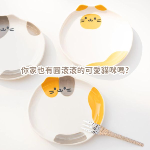 《500元公益福袋》大肚胖貓貓甜點盤小菜盤2入組 (花色隨機) 貓咪,寵物,星星,煙火,設計,慢食碗