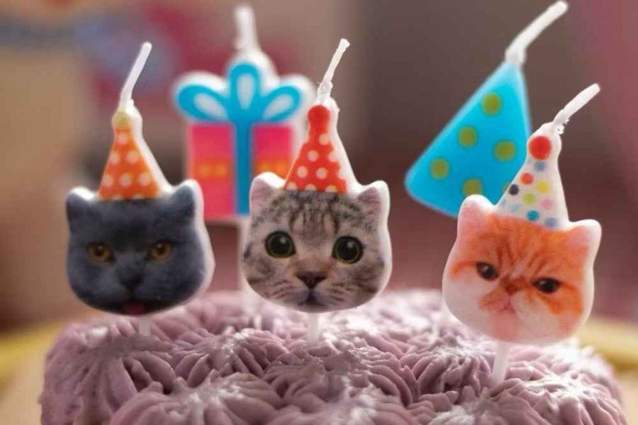 <祝你生日快樂>貓咪蠟燭(一盒5入) 貓咪,貓,公益,福袋,盲盒,蠟燭,生日快樂,貓奴,貓主子