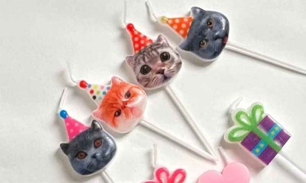 <祝你生日快樂>貓咪蠟燭(一盒5入) 貓咪,貓,公益,福袋,盲盒,蠟燭,生日快樂,貓奴,貓主子