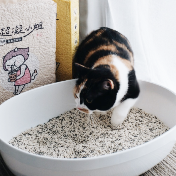 《699元公益福袋》超凝小姐 益生菌除臭豆腐砂2.7kg【原味/珍珠奶茶】三入+贈逗貓棒 貓插圖,貓咪,貓掌,超凝小姐,益生菌,除臭,豆腐砂,逗貓棒