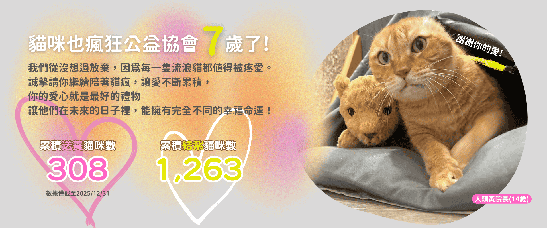 貓咪也瘋狂公益協會