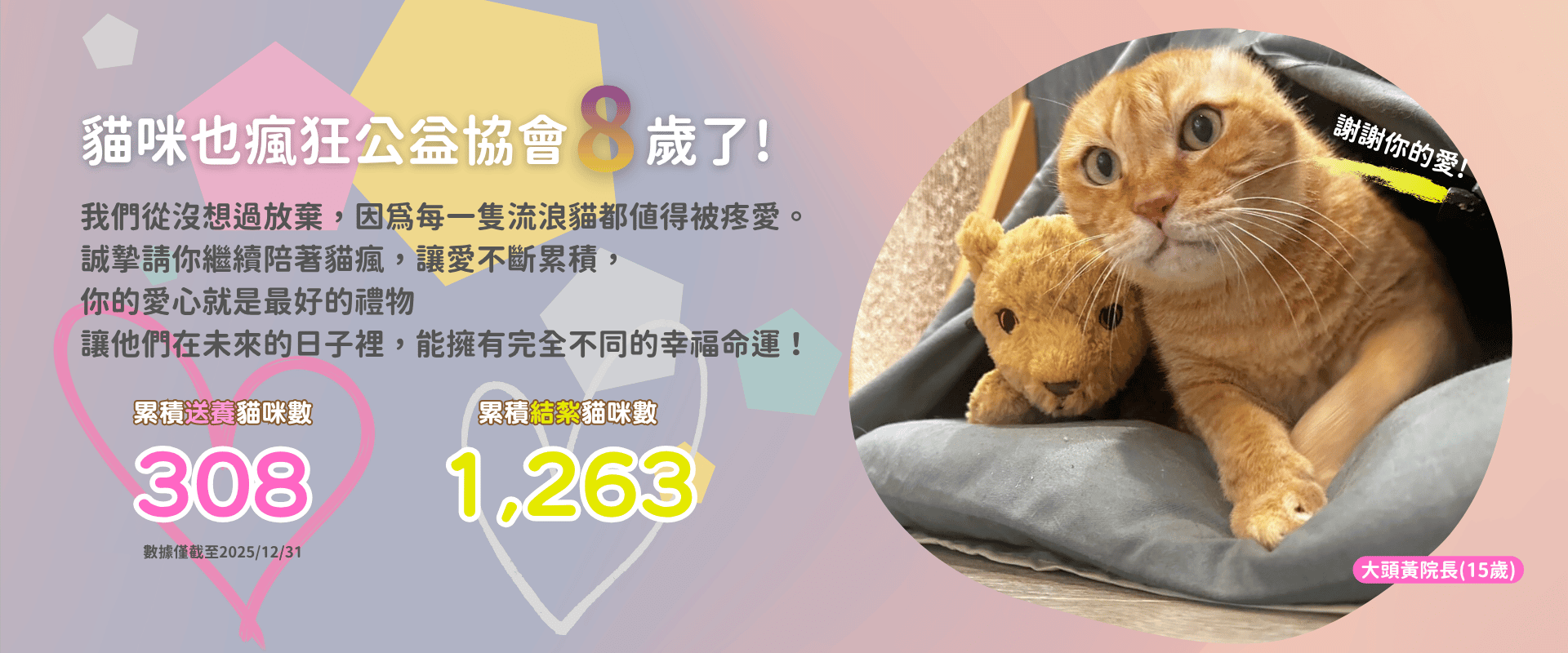 貓咪也瘋狂公益協會