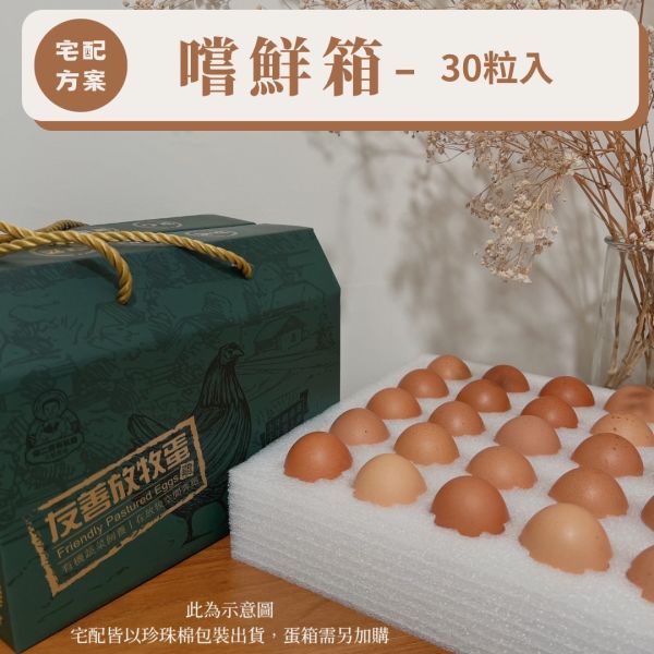 友善放牧雞蛋-30粒裝嘗鮮箱 友善放牧雞蛋 有機蔬菜 有機蔬菜農藥 有機蔬菜認證 有機蔬菜網購 有機蔬菜宅配 有機蔬菜哪裡買 小農蔬菜 小農蔬菜箱 小農蔬菜宅配 放牧雞 放牧蛋推薦 友善放牧雞蛋 友善飼養