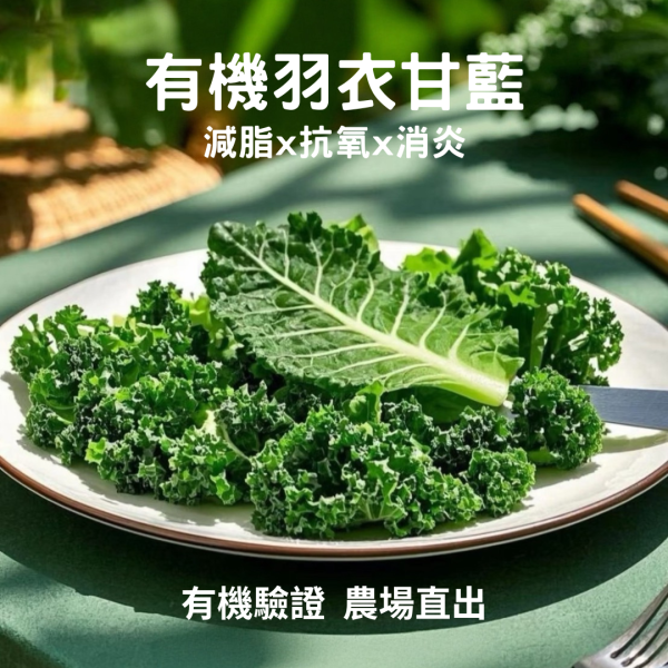 有機羽衣甘藍箱(宅配活動) 