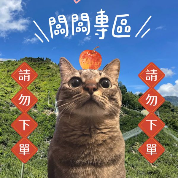 ☀️闆闆專區 請勿下單☀️ 