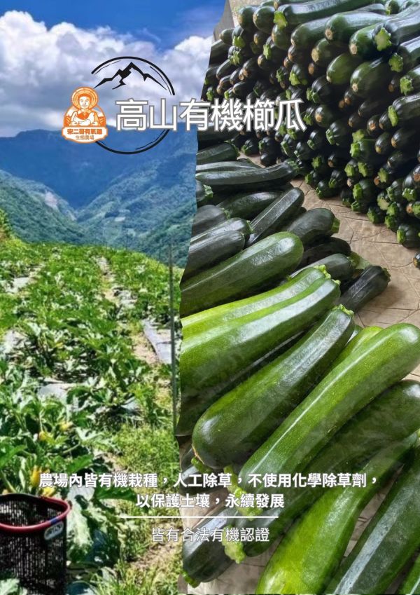 高山有機櫛瓜 有機蔬菜 有機蔬菜農藥 有機蔬菜認證 有機蔬菜網購 有機蔬菜宅配 有機蔬菜哪裡買 小農蔬菜 小農蔬菜箱 小農蔬菜宅配