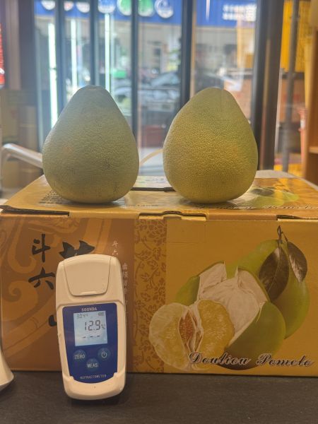 中秋送禮-麻豆外銷版文旦 文旦 多汁口感細膩 自然農法 麻豆文旦